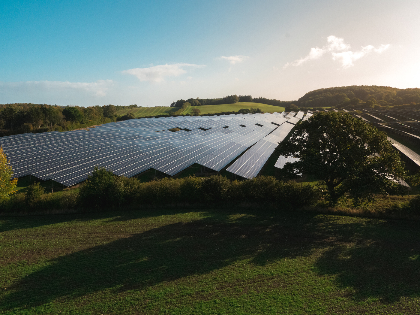 Better Energy og Industriens Pension investerer i yderligere 15 solcelleparker i Danmark, Sverige og Polen. Foto: PR.