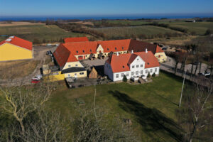 Dyrehøj er Danmarks største vingård. Foto: EDC Landbrug Poul Erik Bech.