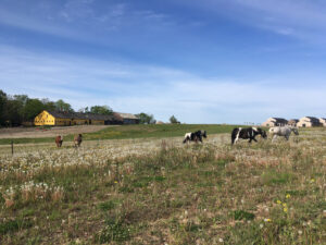 Hyllegården ligger i midten af Hyllegaard Høje. Foto: PR.