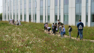 Salling Group har indviet en stor biodiversitetspark omkring dagligvarekoncernens hovedkontor i Årslev i Aarhus. Foto: PR.