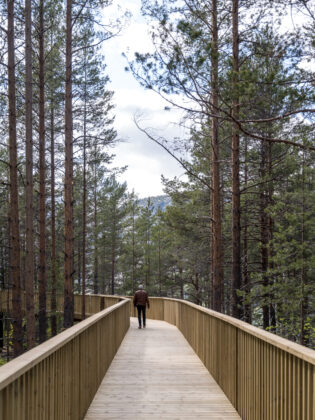 Effekts tilføjelse til Hamaren Aktivitetspark. Foto: Rasmus Hjortshøj.