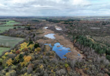 Fond køber over 70 hektar jagtejendom til nyt fuglereservat Stoubæk Krat. Foto: Jørn Dyhberg Larsen.