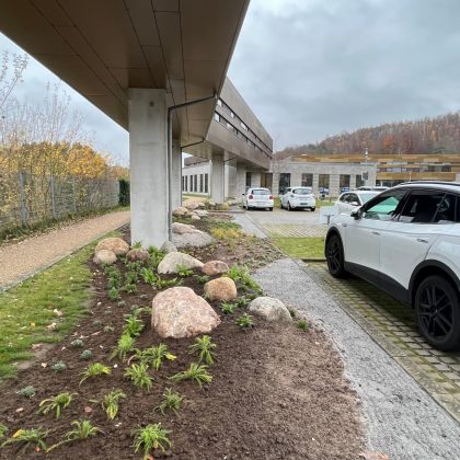 DEAS står bag nyt naturprojekt ved Psykiatrisk Afdeling i Vejle, hvor vild natur skal øge biodiversiteten. Foto: PR.