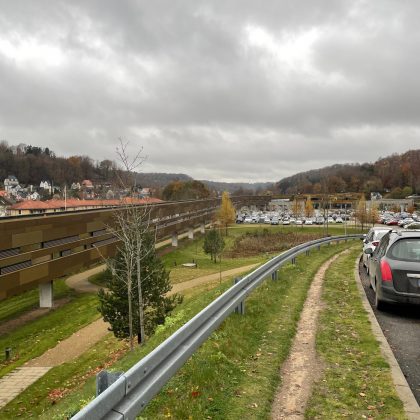 DEAS står bag nyt naturprojekt ved Psykiatrisk Afdeling i Vejle, hvor vild natur skal øge biodiversiteten. Foto: PR.