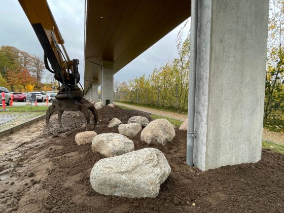 DEAS står bag nyt naturprojekt ved Psykiatrisk Afdeling i Vejle, hvor vild natur skal øge biodiversiteten. Foto: PR.