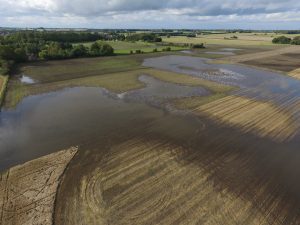 Stort naturområde ved Solrød rykker et skridt nærmere. Foto: PR.