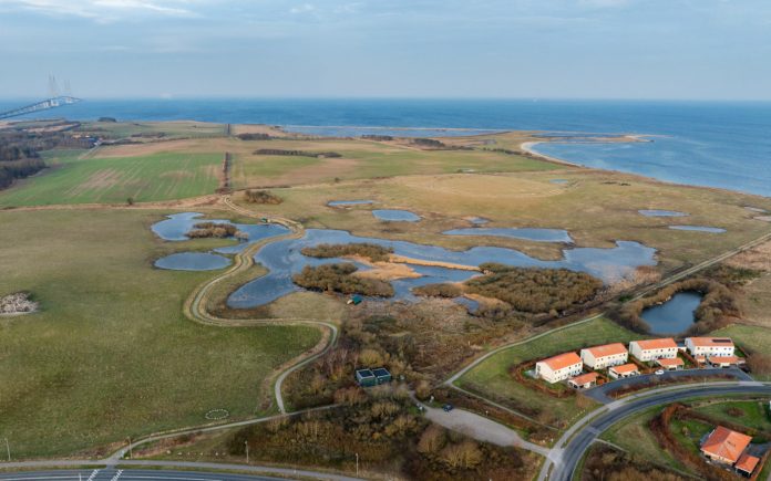 Den Danske Naturfond og Slagelse Kommune står bag nyt naturområde ved Storebæltsbroen og Korsør. Foto: PR.