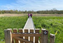 Ny naturoplevelse med vikingevibes indvies ved Haarby Foto: Assens Kommune.