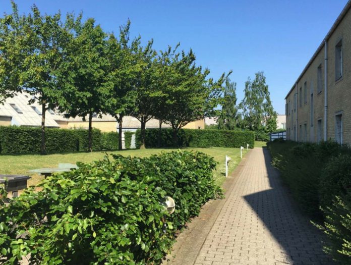 Skou Gruppen skal renovere 251 boliger for Glostrup Boligselskab. Foto: PR.
