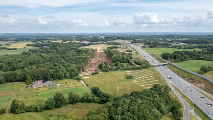 Rydning forud for den kommende jernbane øst for rasteplads Kildebjerg Nord. Foto: Vejdirektoratet.