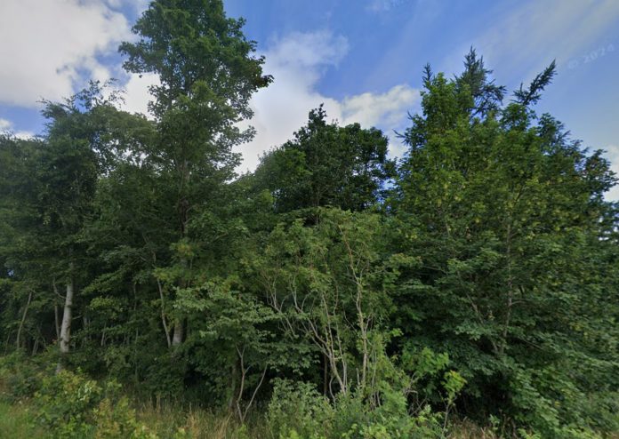 Skoven på Gatten Møllevej 55 ved Farsø skal på tvangsauktion. Foto: Google Maps.