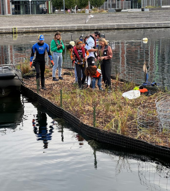 Flydende blomsterhaver sætter spot på biodiversitet i København. Foto: Jonas Lysholdt Ejderskov / Emilie Møltoft Jensen / WWF Verdensnaturfonden.