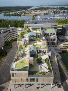 Sluseholmen Skole er tegnet af JJW Arkitekter. Foto: Torben Eskerod.