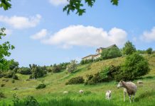 Campingplads transformeres til naturhotel og eventsted Hovedbygningen på Bramslev Bakker bliver renoveret. Foto: Jym Lyngvild.