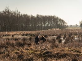 Lodsejere peger frivilligt på over 2.600 hektar til lavbundsprojekter Kvong Mose er et af de områder i Varde Kommune, der allerede er blevet genetableret som vådområde. Foto: Varde Kommune.