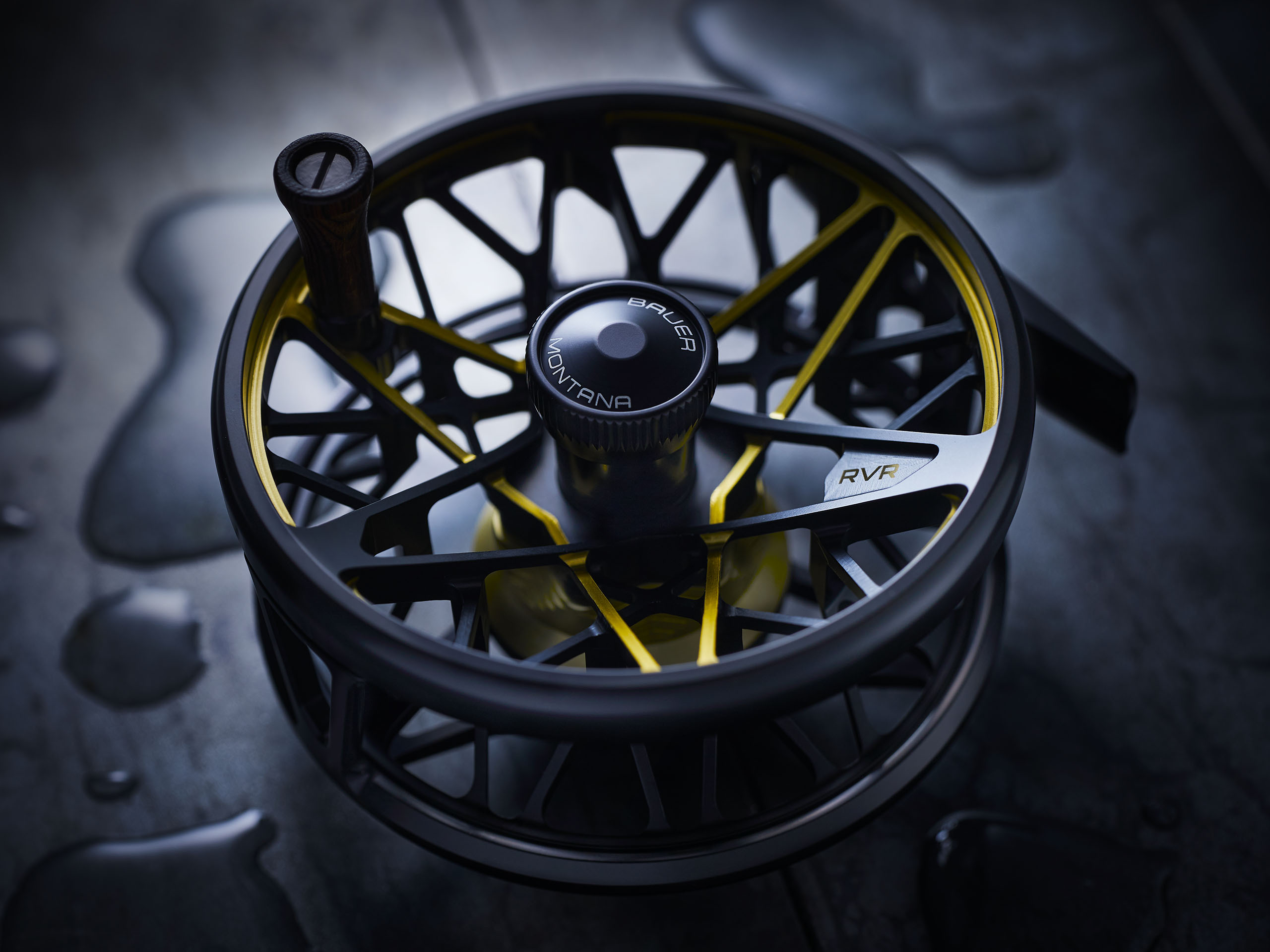 Bauer_DL