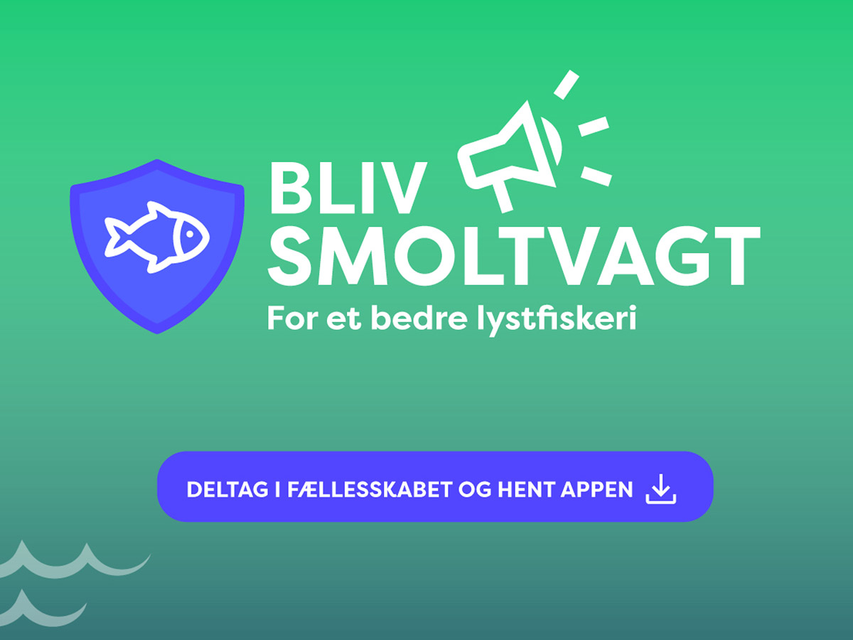 Smolt banner_1200px