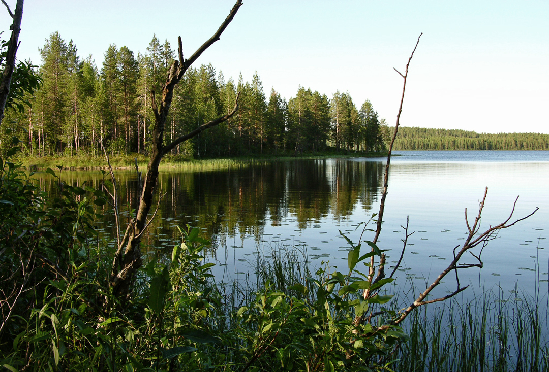 Är det hösten som är på intåg