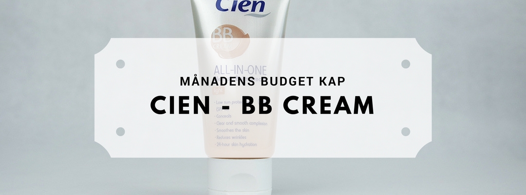 Månadens budget kap - Cien