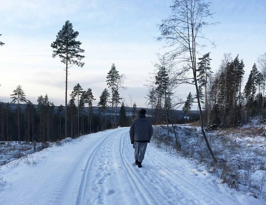 En längtan till landet