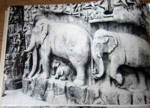 Felsenrelief Mahabalipuram - Hati-Hati - Ullrich