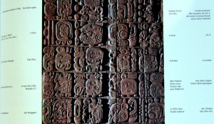 Maya - Gottkönige im Regenwald - Nikolai Grube - 2