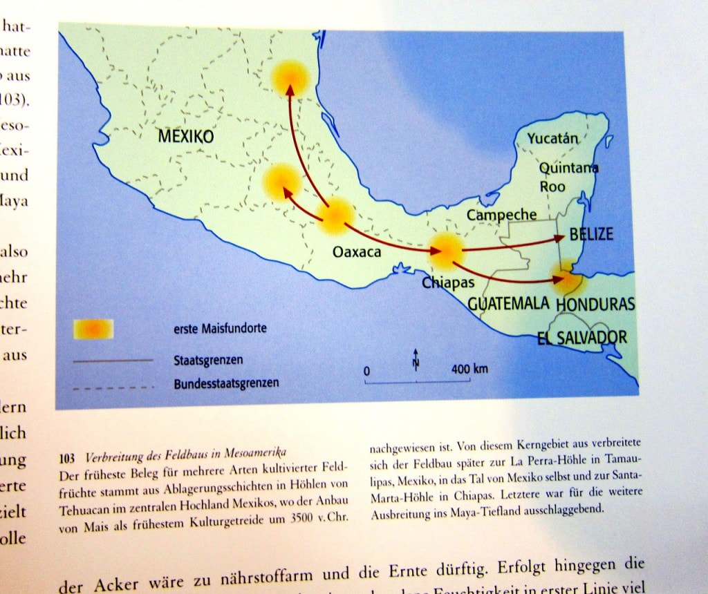 Maya - Gottkönige im Regenwald - Nikolai Grube - 4