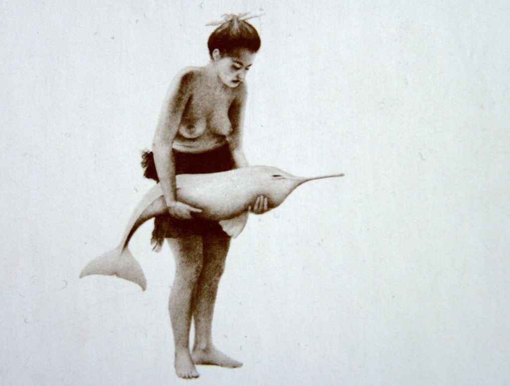 Mädchen mit Flußdelphin - Titelseite von Der Geist in den Wassern