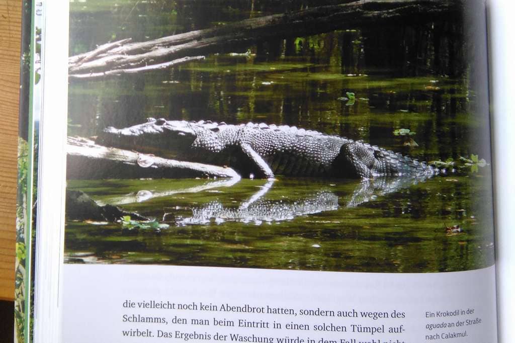 Verschollene Städte - Archäologische Abenteuer im Land der Maya - Ivan Sprajc