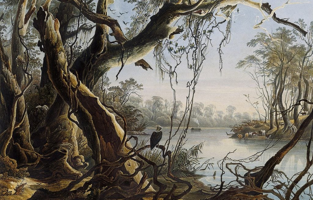 Karl Bodmer [Public domain], via Wikimedia Commons