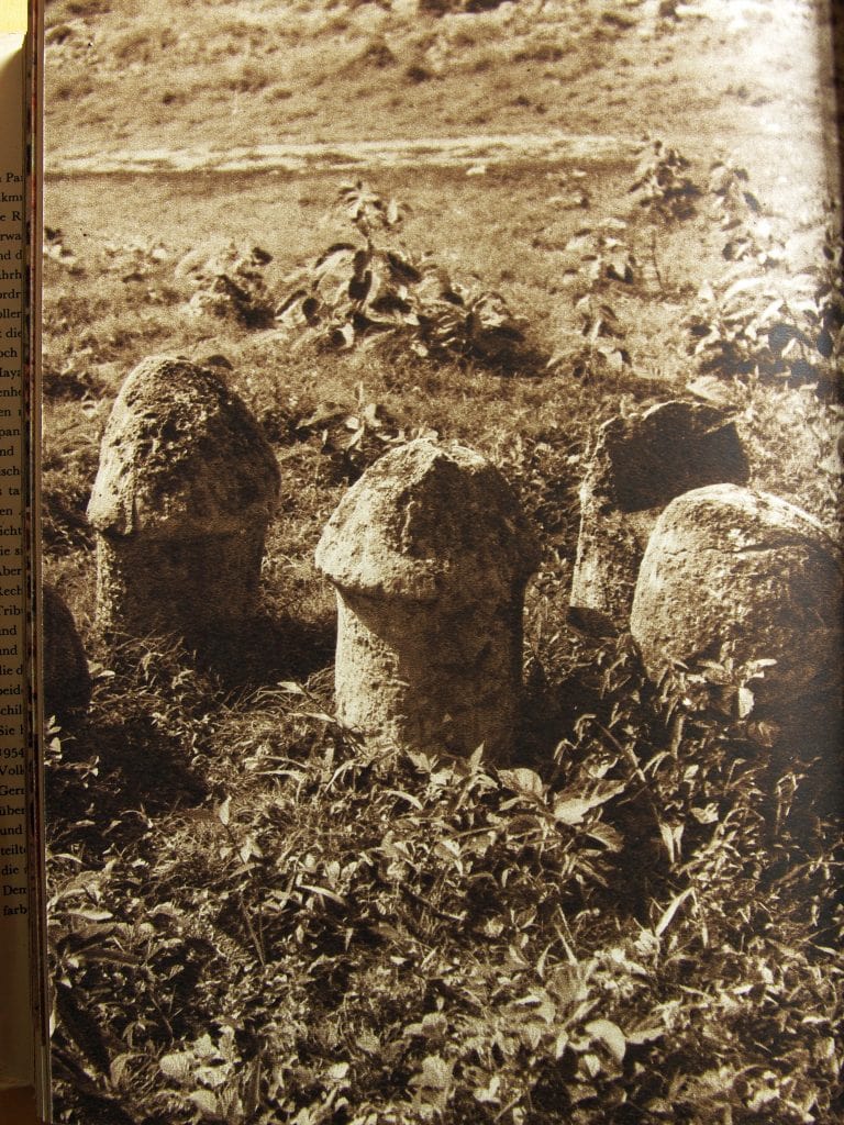 Pilzsteine oder Phallussymbole in Uxmal 