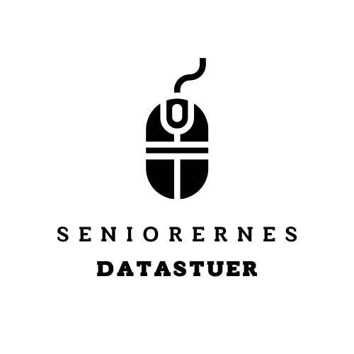 Datastuen