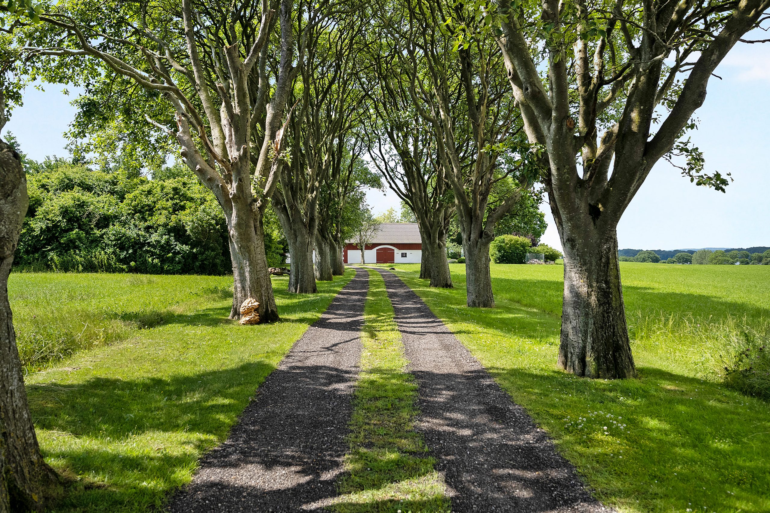 kathrinelyst-vandretur-middelfart