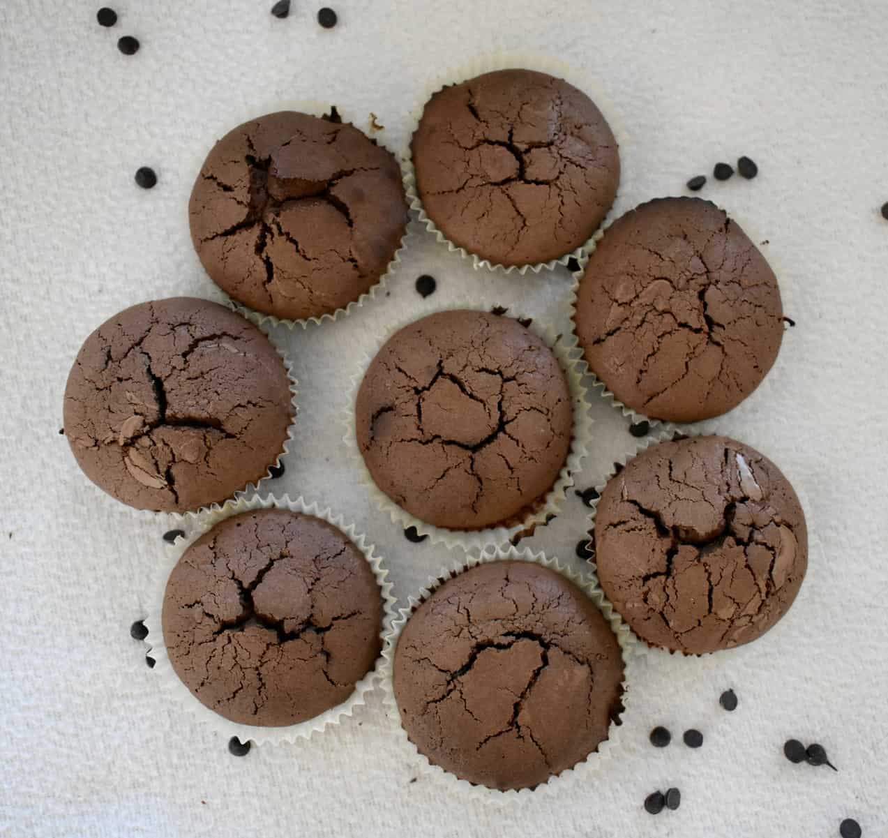 Chocolade Muffins Debbythechocoholic