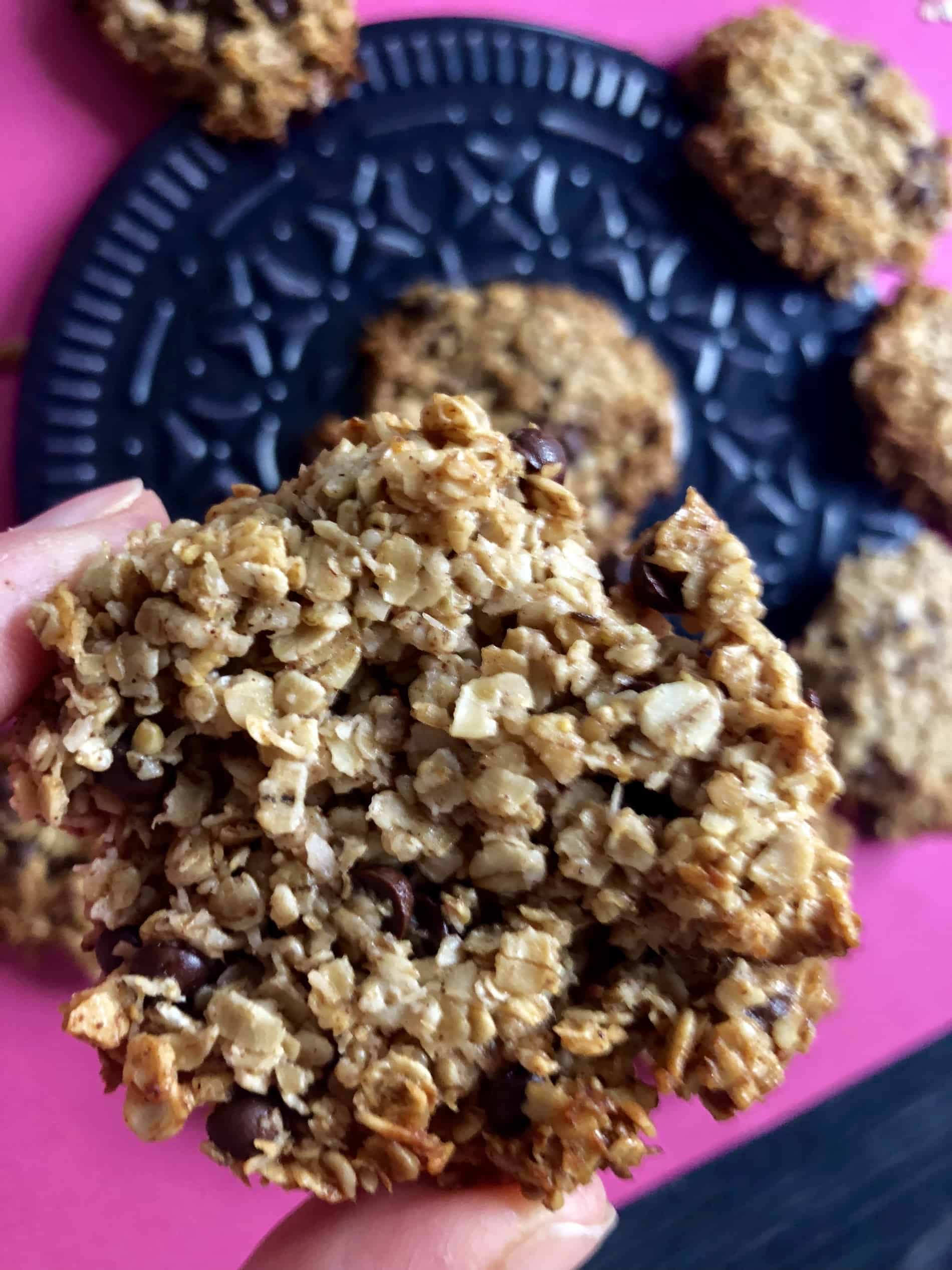 Krokante havermoutkoekjes met chocolade en kokos