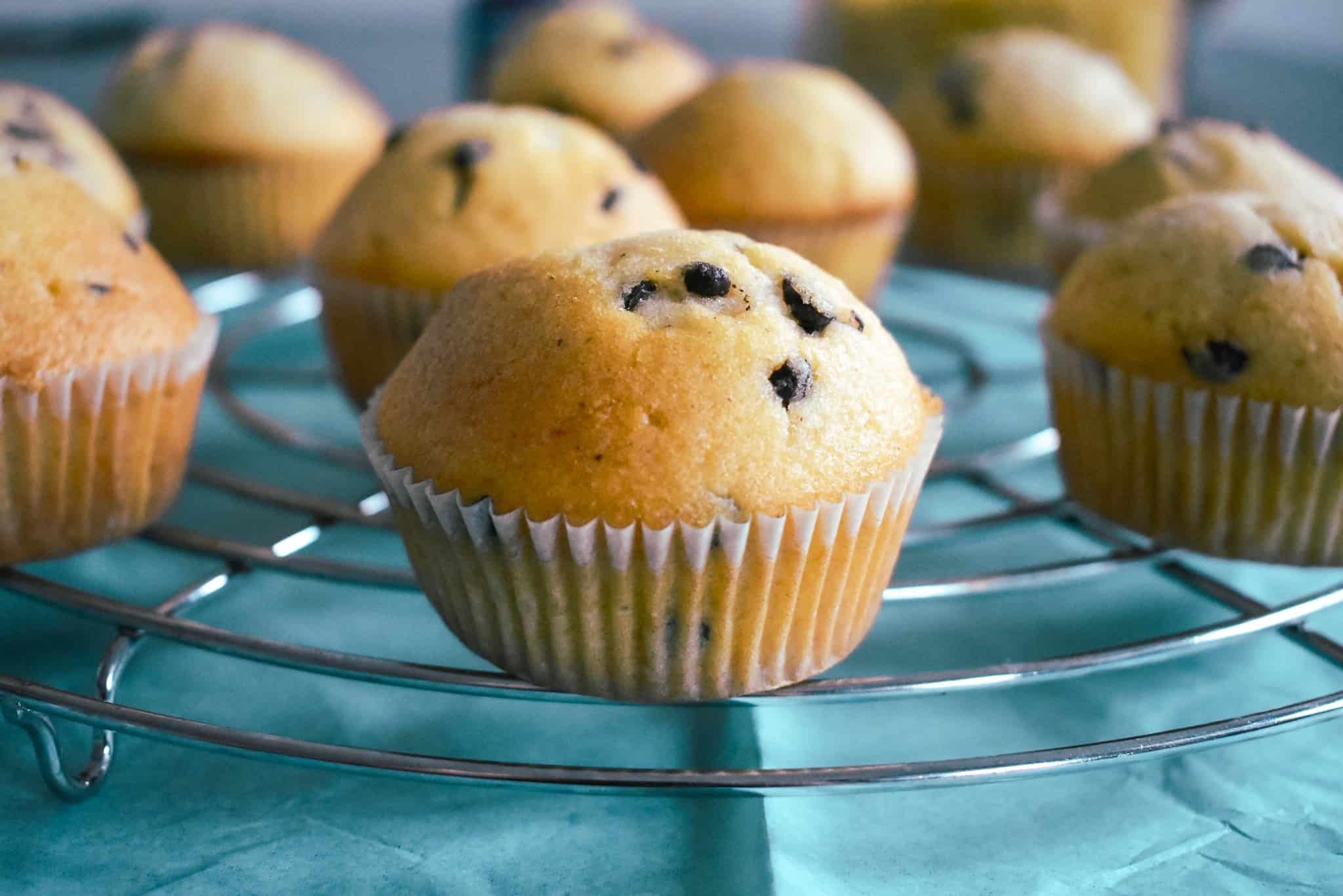 muffins met chocolade chips en kaneel