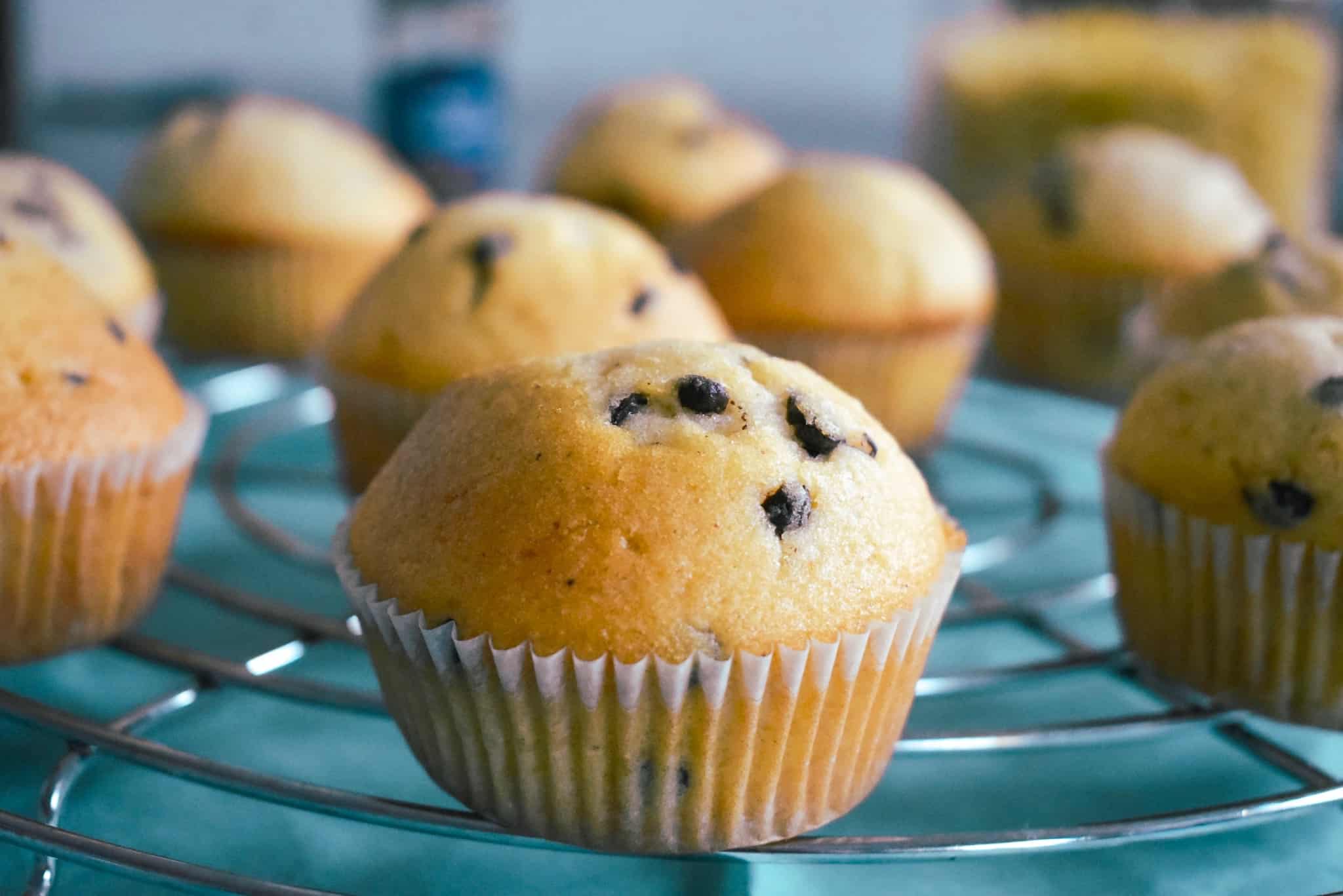 muffins met chocolade chips en kaneel