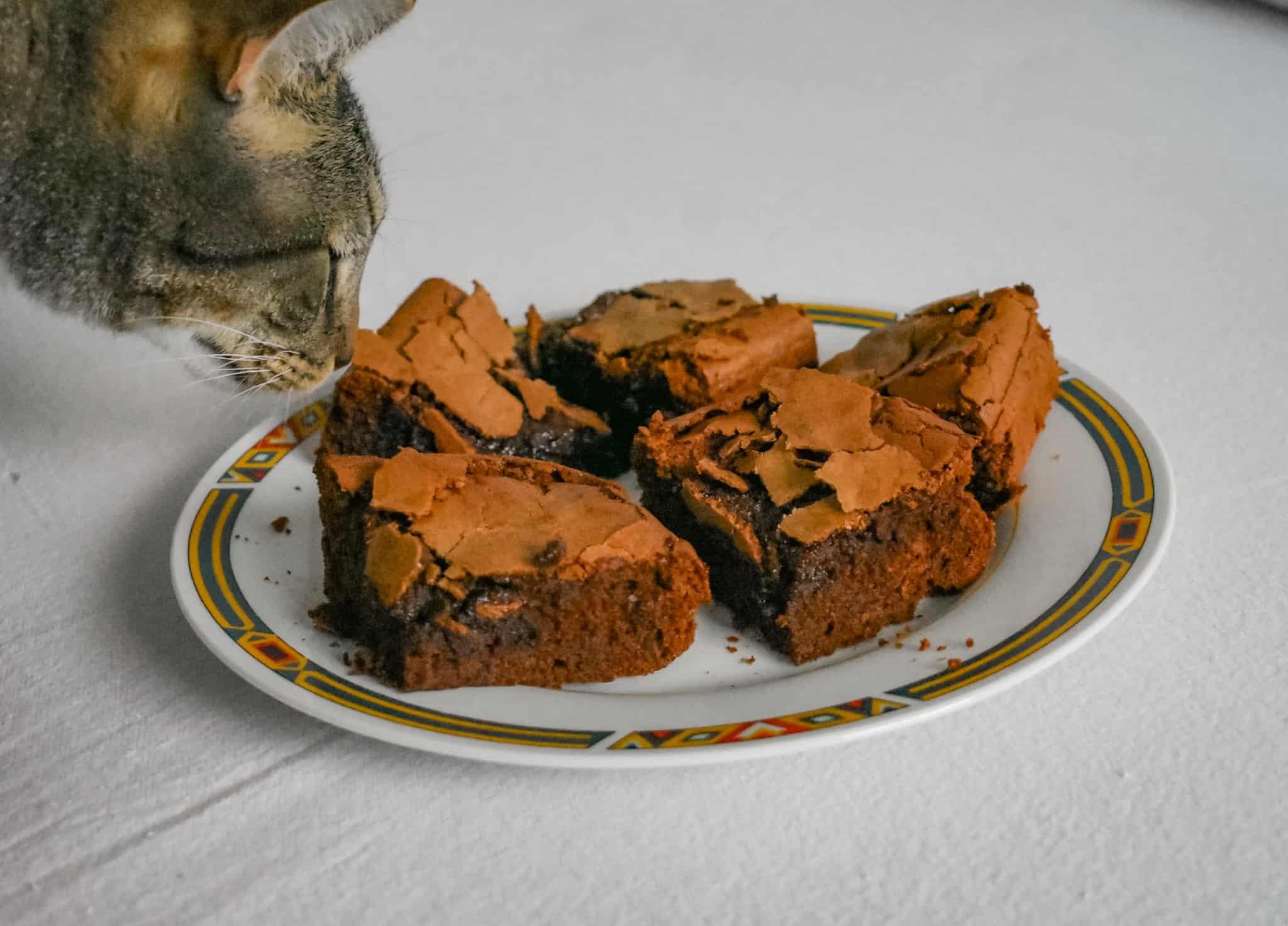 Kitty likes brownies