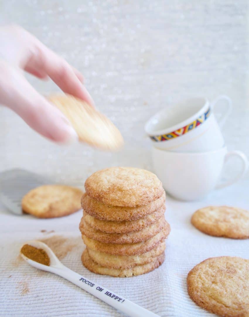 Snickerdoodle Koekjes