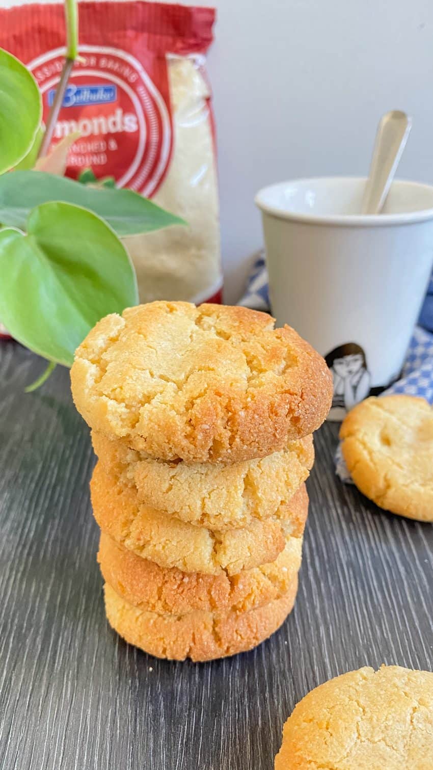 Vegan suikerkoekjes, lactosevrij, glutenvrij en eibrij