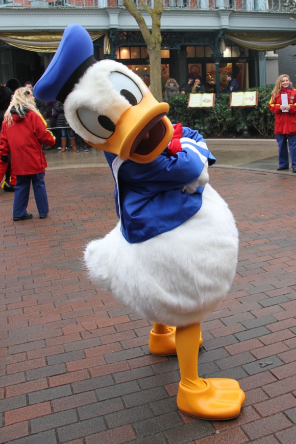 St Valentin 2013 in Disneyland Paris, Donald Duck