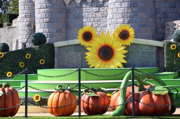 Disneyland Paris Halloween 2014: Sunflower Mickey Replaces Pumpkin Mickey