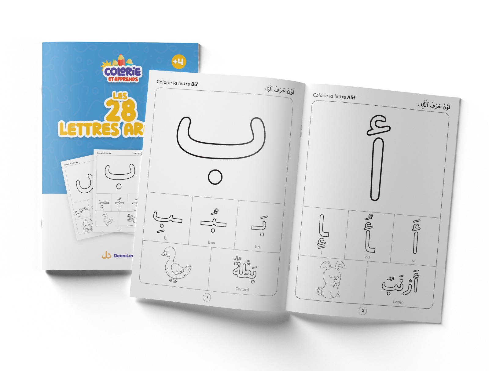 Cahier « Colorie et Apprends – Les 28 Lettres Arabes » de DeeniLearn, ouvert sur les pages de la lettre Alif et Ba, avec des mots illustrés en arabe.