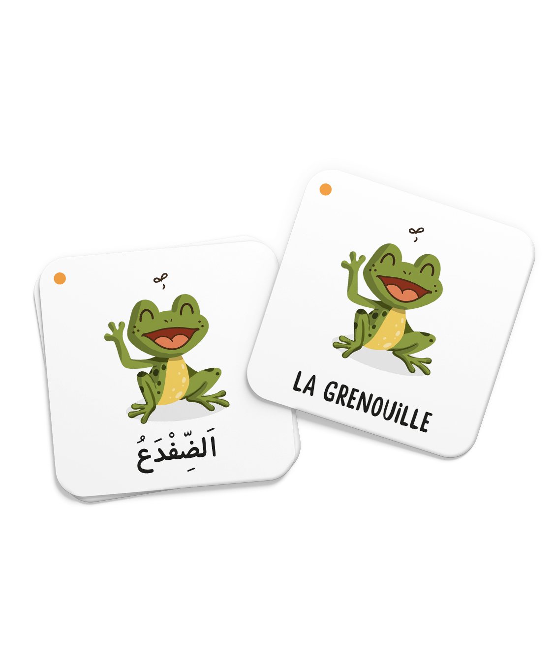 Mémo des animaux du Coran