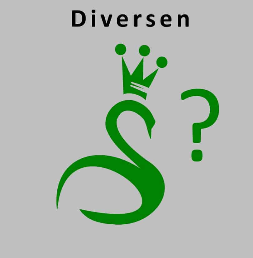 diversen 2