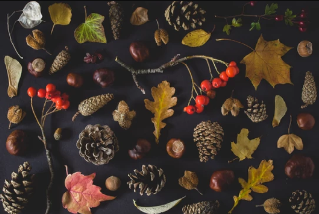 Pareltjes in de Herfst