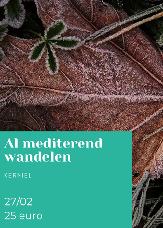 Al mediterend wandelen