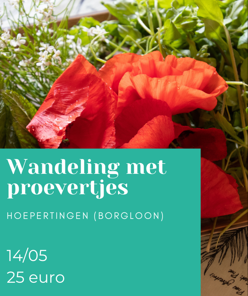 Kruidenwandeling met proevertjes van wilde planten uit den hof.