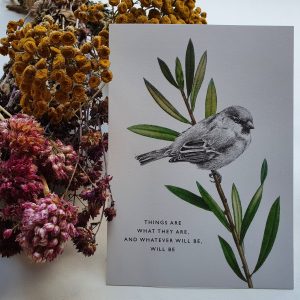 De Kleine Theeboom - Geefkaartjes - Fauna & flora - Sweet birds - Huismus