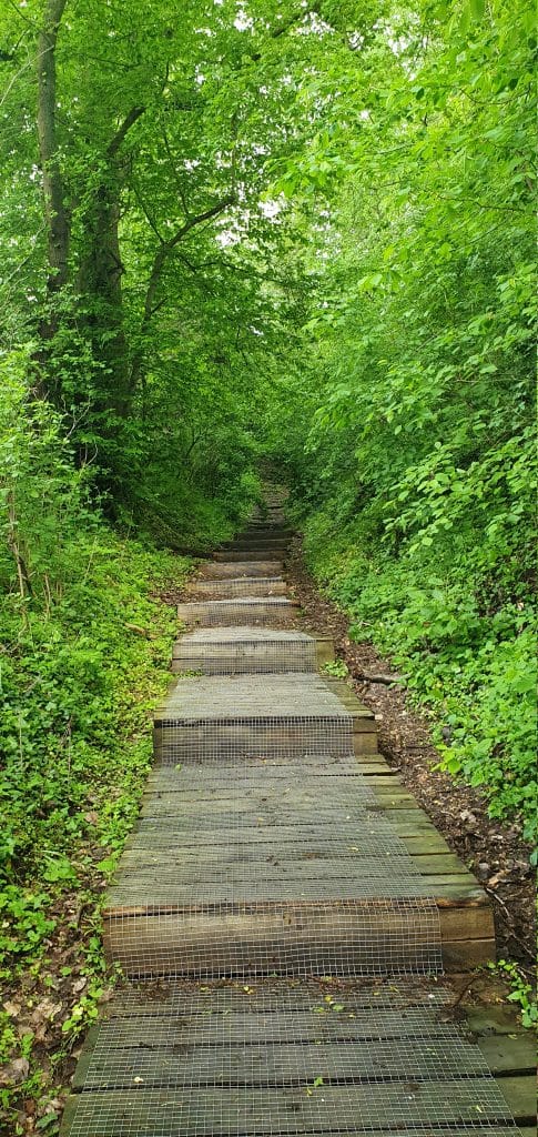 wandelweg zammelen